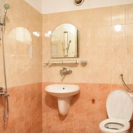 за гости мз-девин