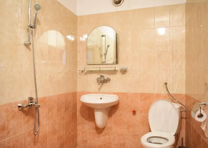 за гости мз-девин